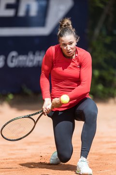 Bild 495 - BL DTV Hannover - BW Dresden Blasewitz : Ergebnis: 2:7